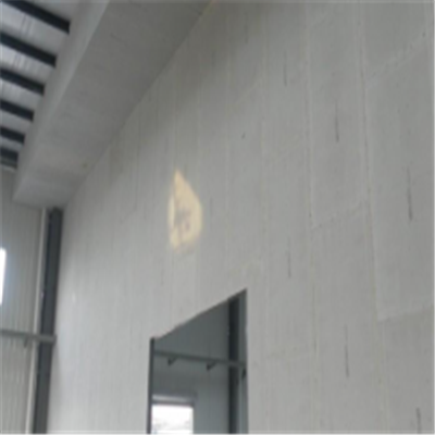 子长宁波ALC板|EPS加气板隔墙与混凝土整浇联接的实验研讨